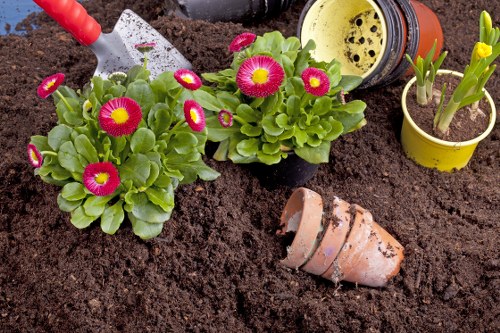 Gardener with safety gear inspecting a residential front garden