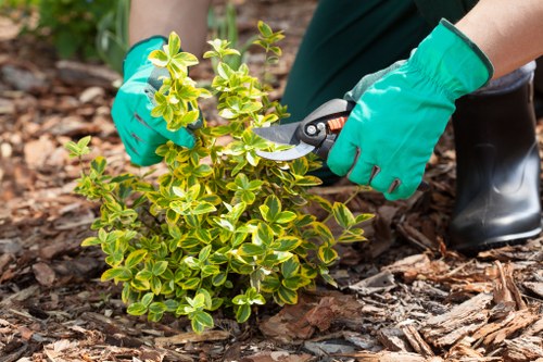 Front yard gardener preparing tools in West Ham