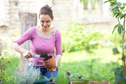 Healthy soil preparation for West Ham gardens
