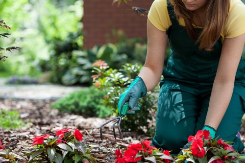 Modern and traditional English garden styles