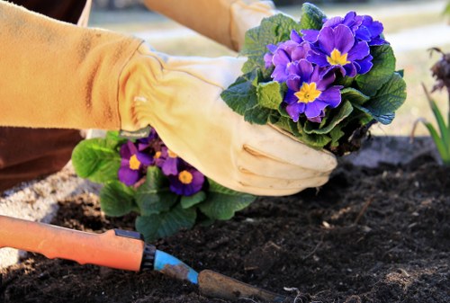 Eco-friendly gardening practices implemented by Premier Gardening Services West Ham