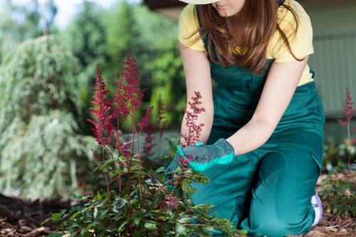 West Ham climate influencing garden maintenance
