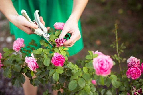 Skilled horticulturists working on a garden project in West Ham