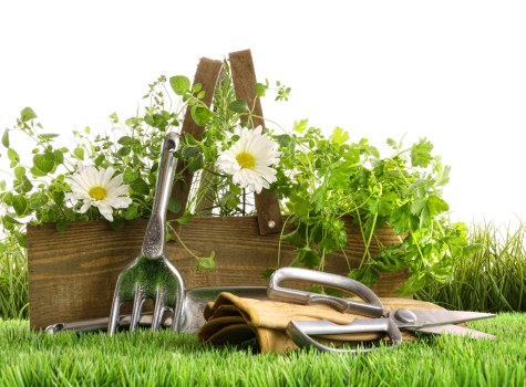 Professional lawn mower servicing a green lawn