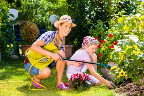 Professional garden design by West Ham services