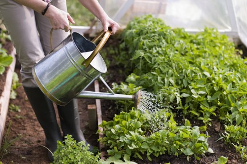 Team members of Premier Gardening Services West Ham planning garden designs
