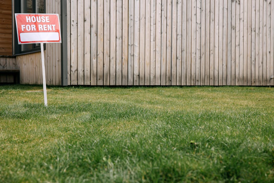 A neatly trimmed lawn with lush green grass surrounds a small yard, featuring a wooden fence in the background. In the foreground, a red and white 'House For Rent' sign is embedded into the grass, ind